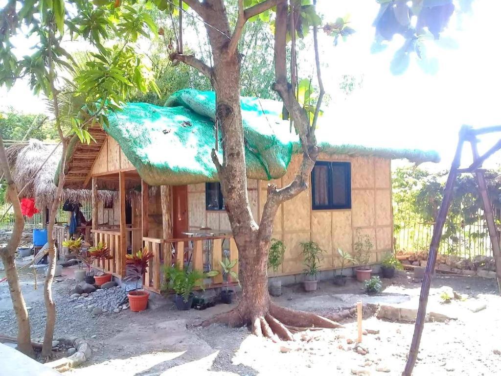 Traditional Filipino Transient House And Huts Near 100 Islands Wharf อลามินอส ภายนอก รูปภาพ